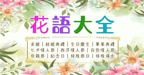 花語大全|花語大全500+｜送花應該了解的花語意義｜常用小襯 